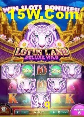 Programa VIP 37q