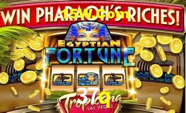 Casino Ao Vivo 37q